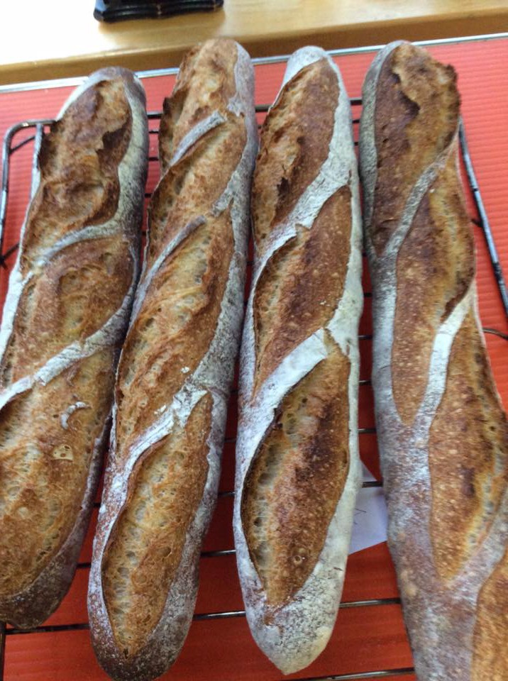 11065300_910848968983982_9123104427860185871_n