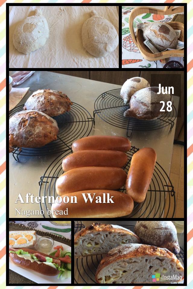 13516244_1054158947986316_7467886024210193168_n