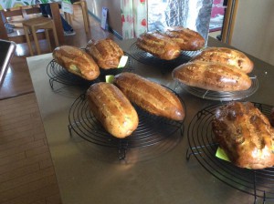 13692603_1064121376990073_4977386046556254957_n